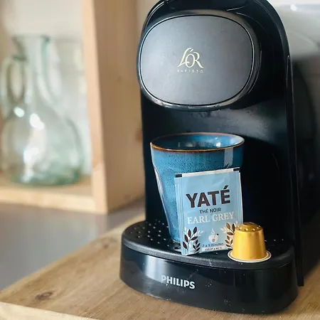 De Charme Proche De Colmar * Horbourg